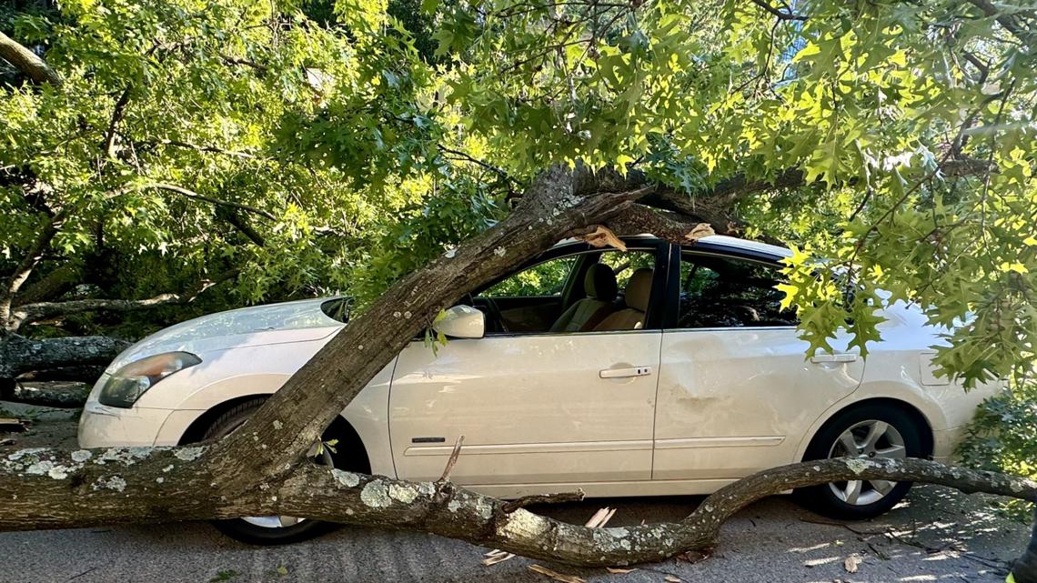Hurricane Season Car Glass Protection
